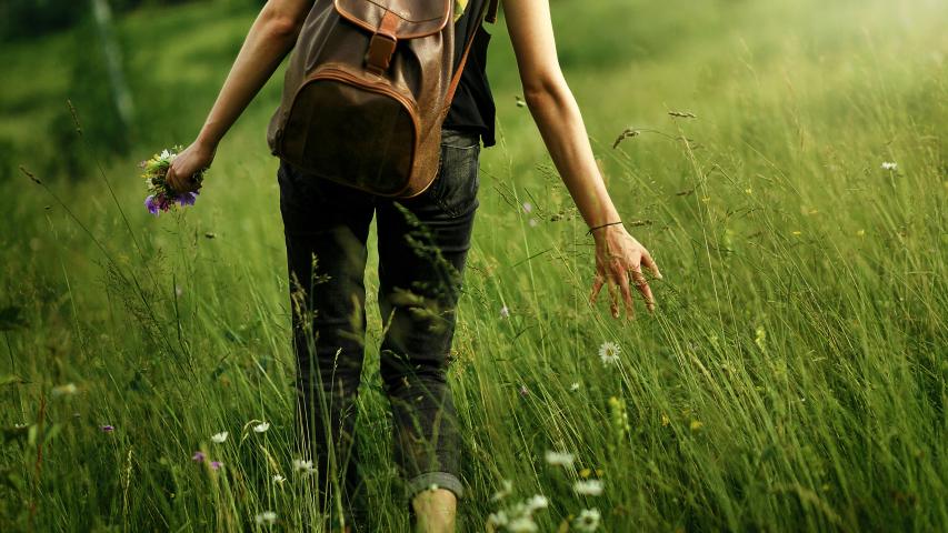 Journey through weeds and wheat